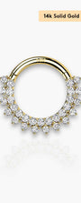 Chloe | 14k Solid Gold Segment Hoop