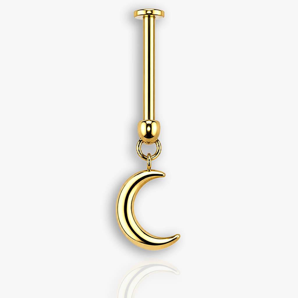 Hanging Moon | Vertical Helix OR Hidden Helix Earring