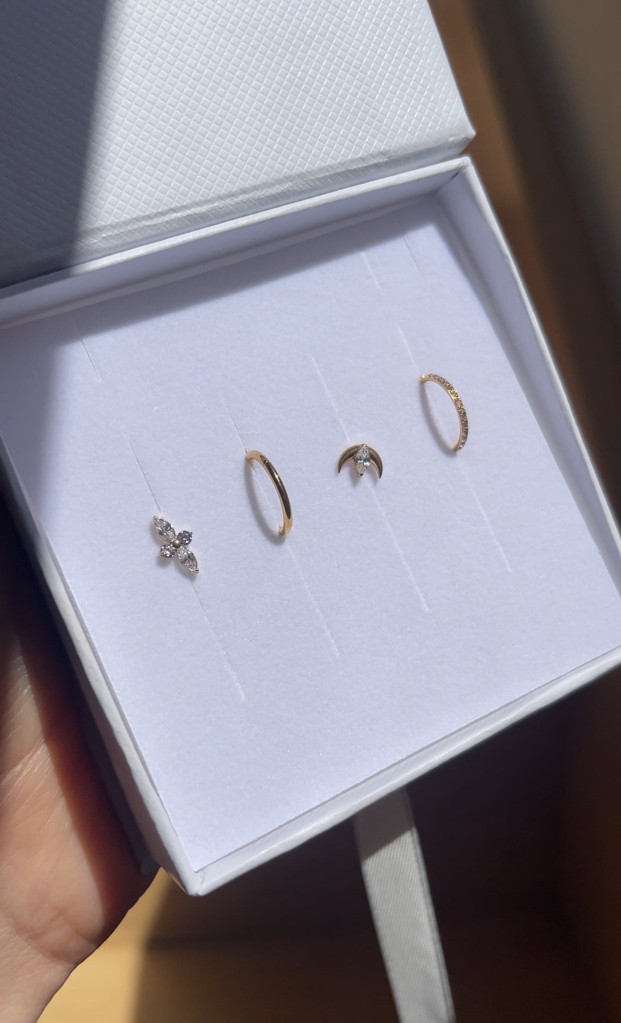 Cartilage Only Mystery Pack (Implant Grade Titanium ASTM F 136) + Curation Service