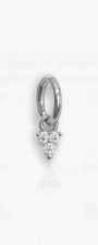 Twinkle Cartilage Hoop
